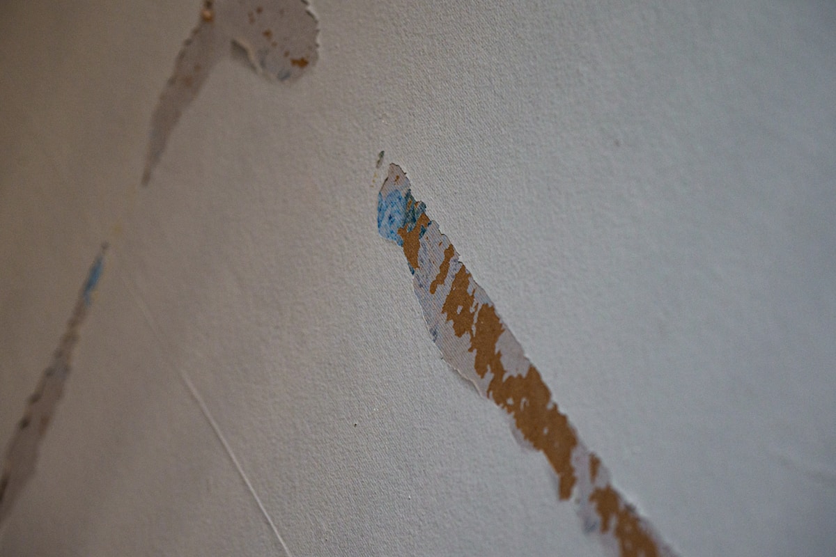 Mold Remediation service in Shreveport, LA